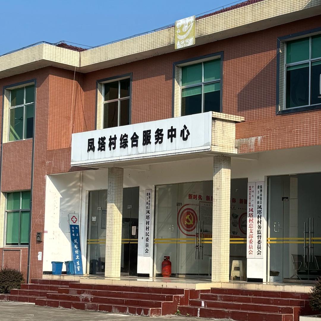 凤塔村委团队（高主任）