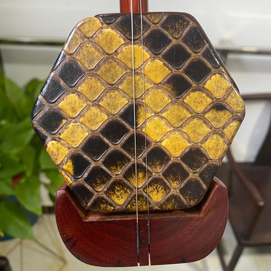 庆涛二胡