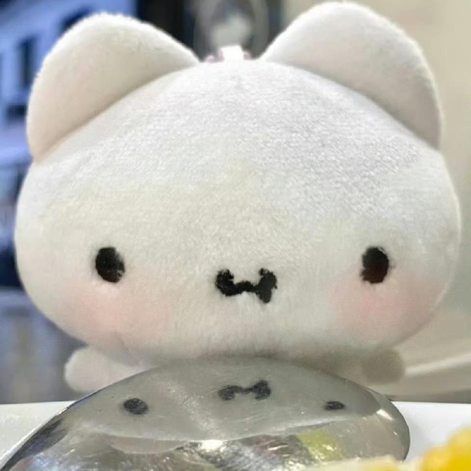 我是大帅哥蟑螂