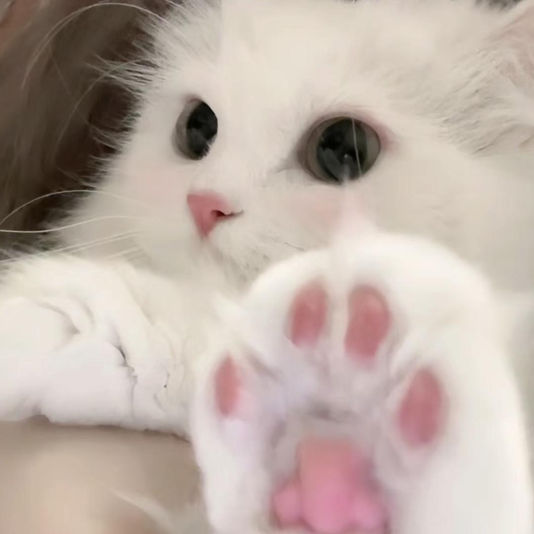 酱油鸡蛋🎀