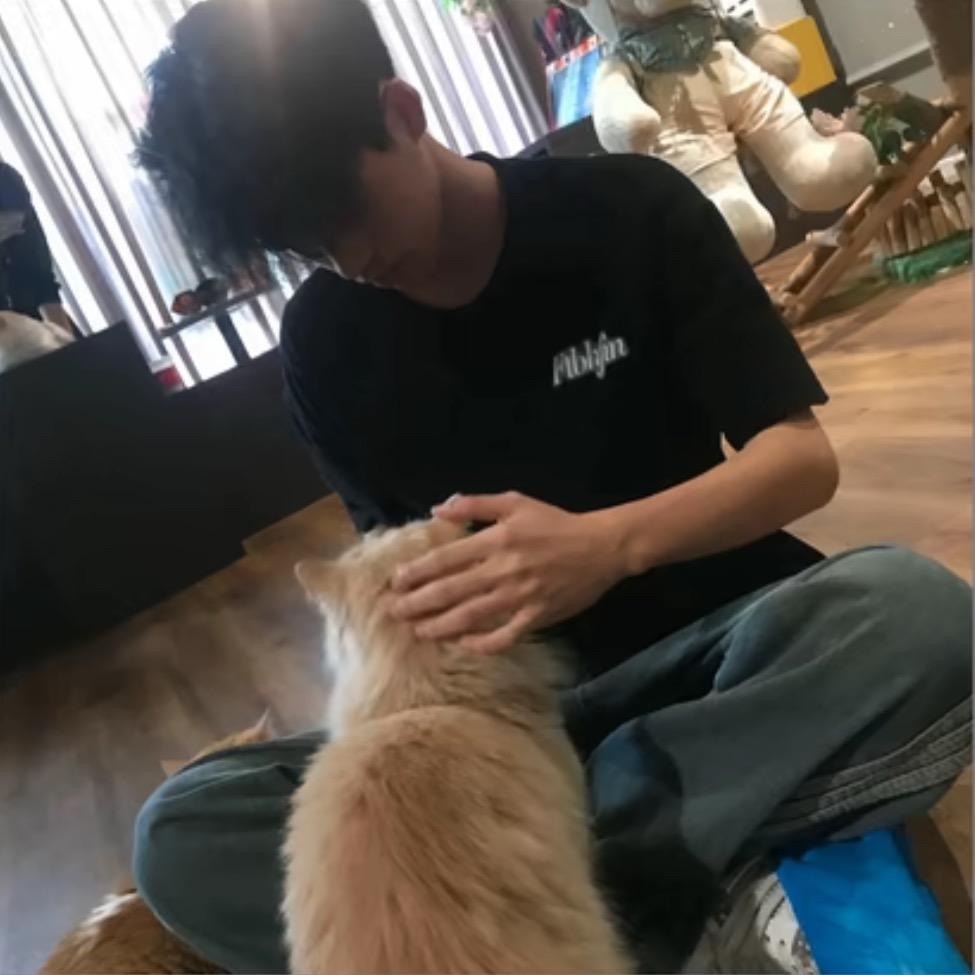 小少