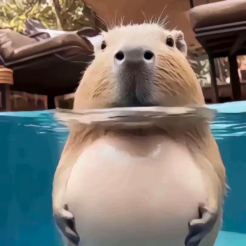 🔥力全开的小小8