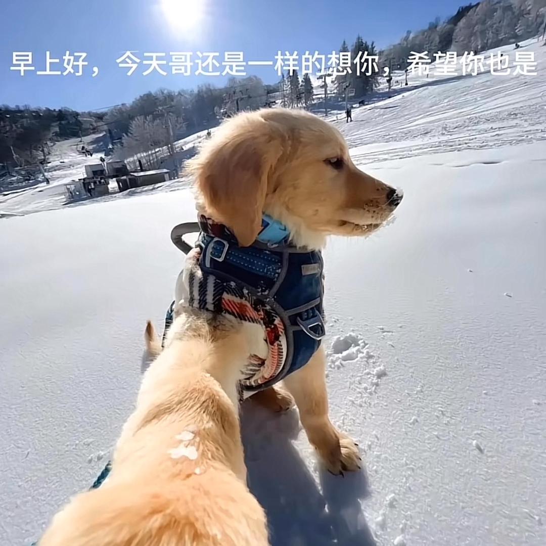期待明天