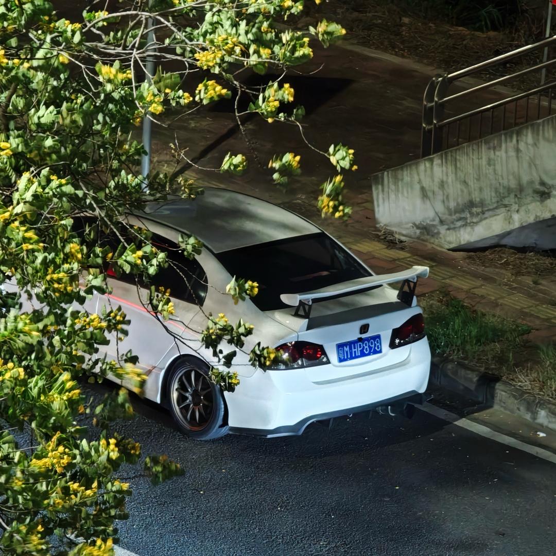 蘭