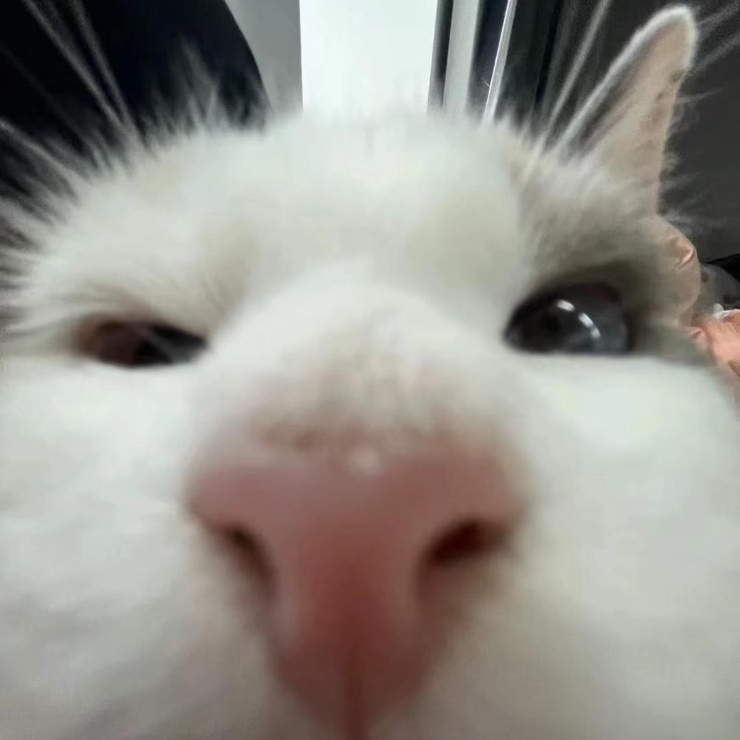 漫.
