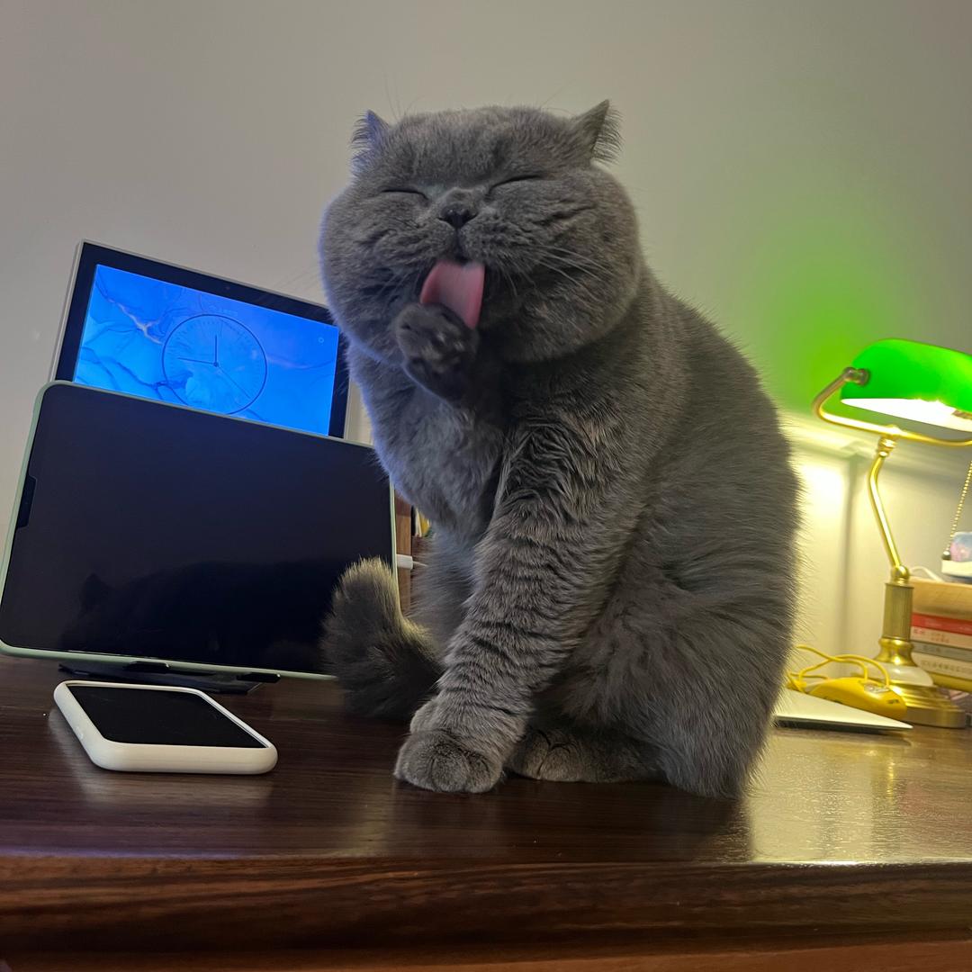 有个蓝猫叫加菲
