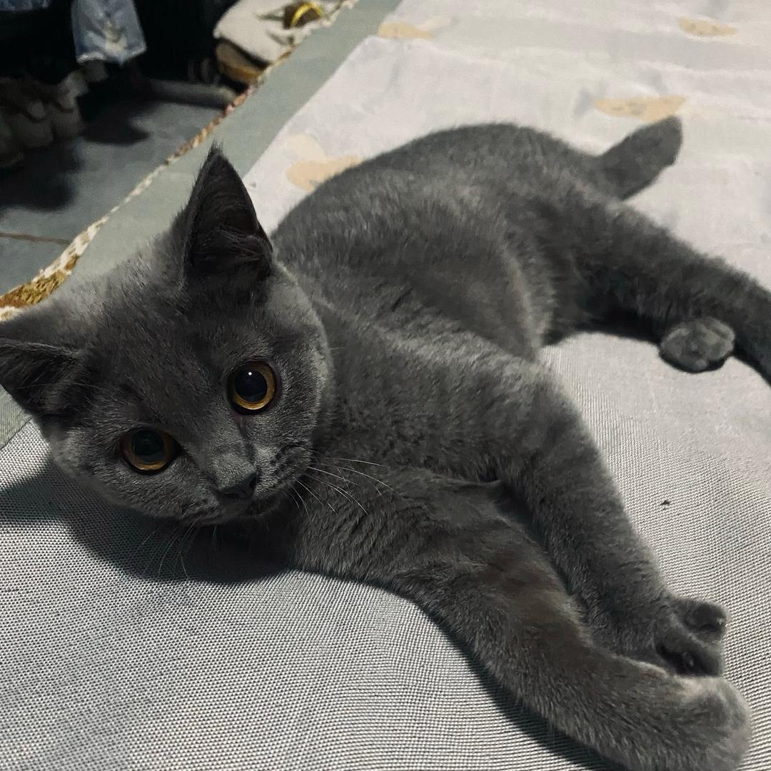 迁榆