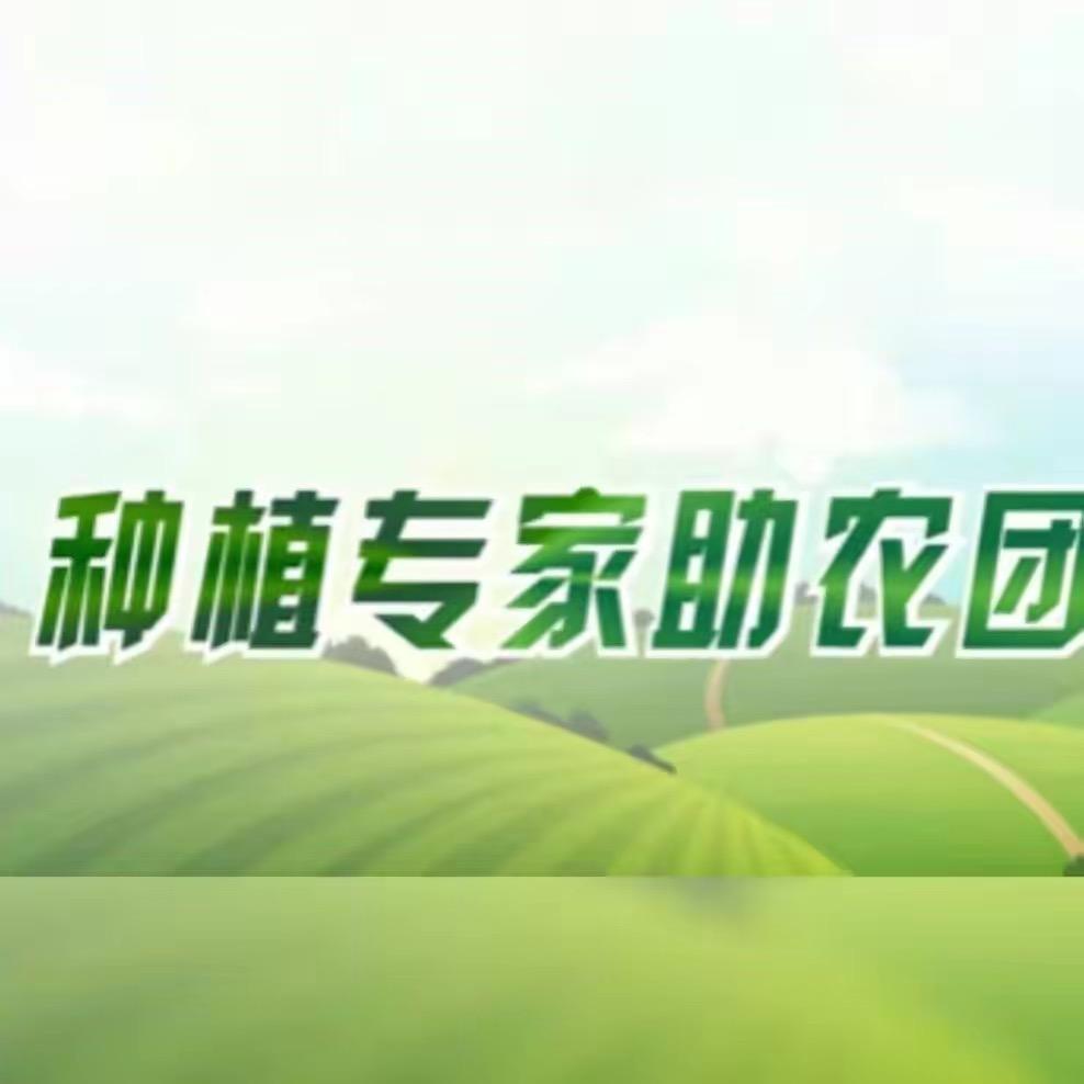 助农技术员