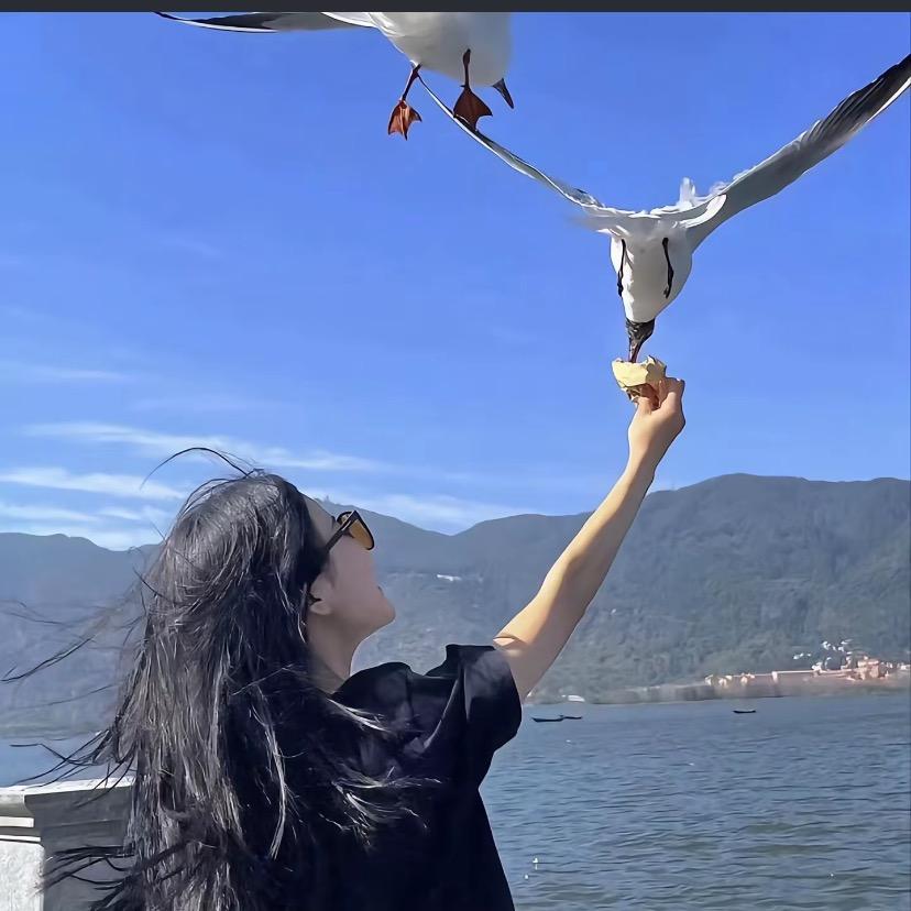半口奶酪