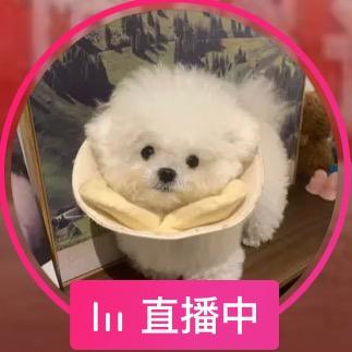 嘚啵嘚啵