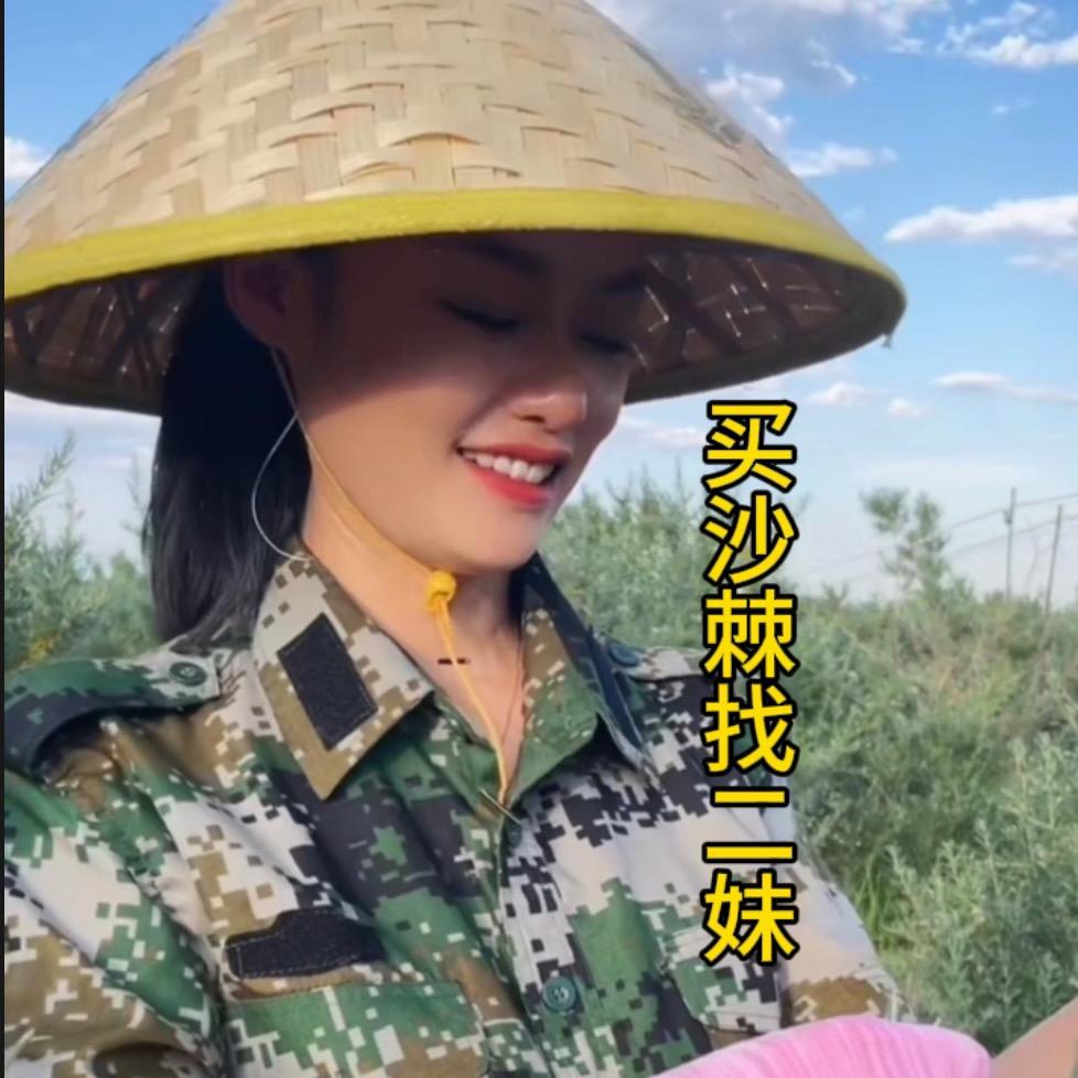兵团二妹(新疆沙棘)