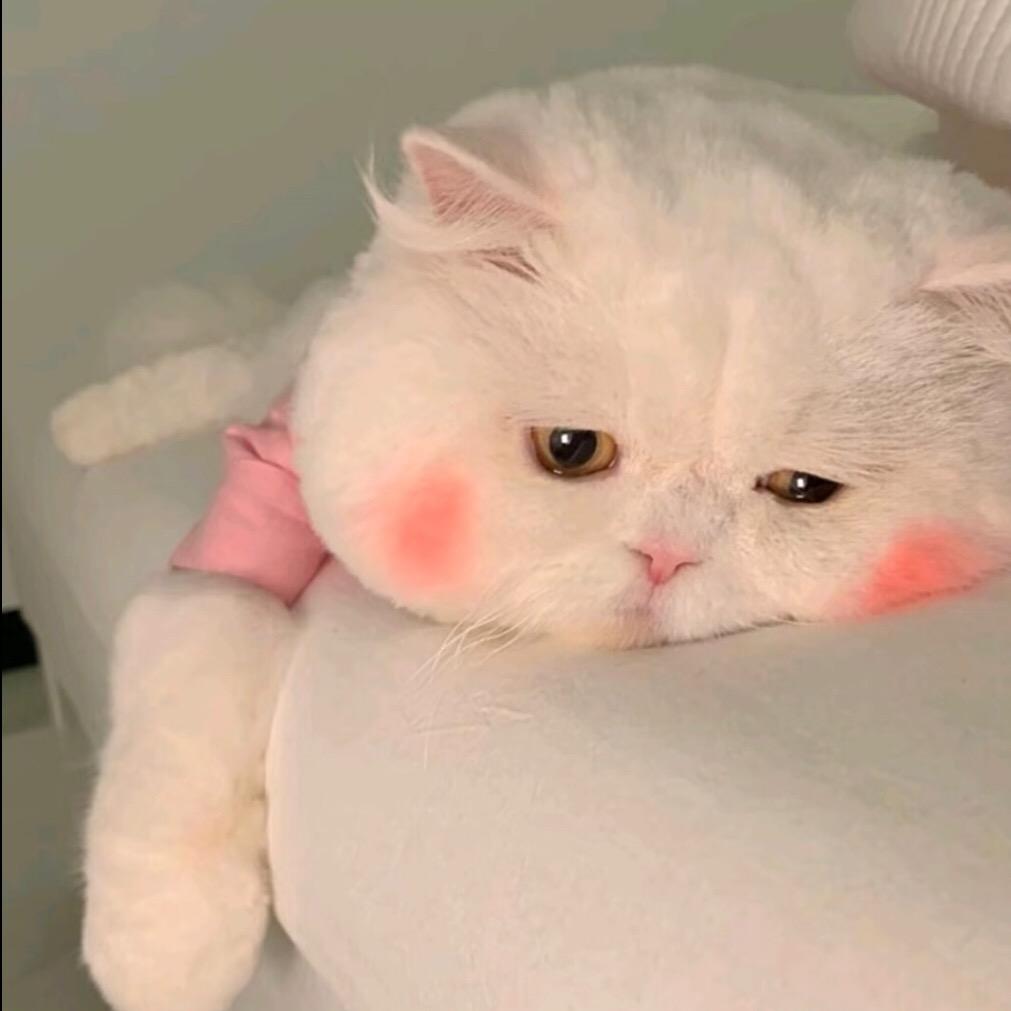 ¹嘟嘟