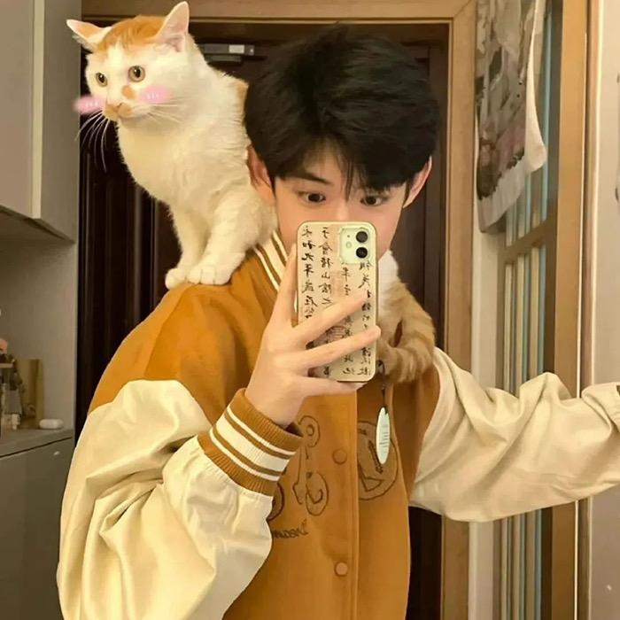 金刚大暴龙战士