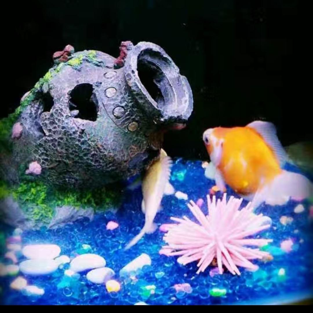 俏巧