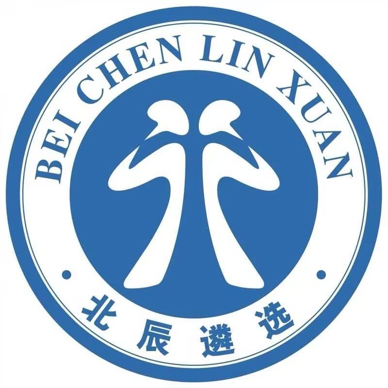 北辰遴选-野生面试官