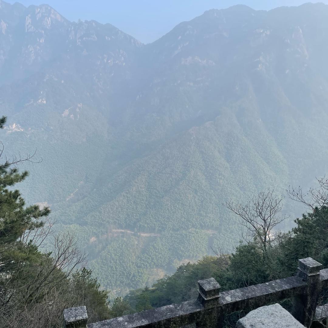 瓷砖的搬运工