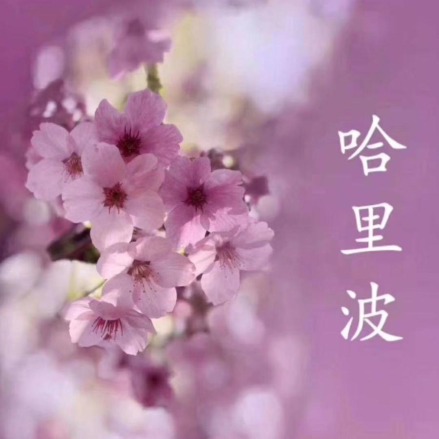 快乐的柠檬🍋