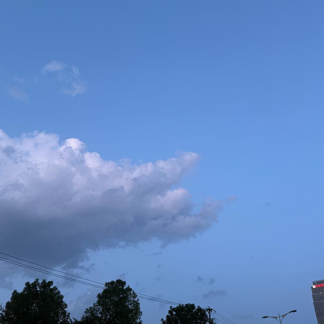 熵减藤