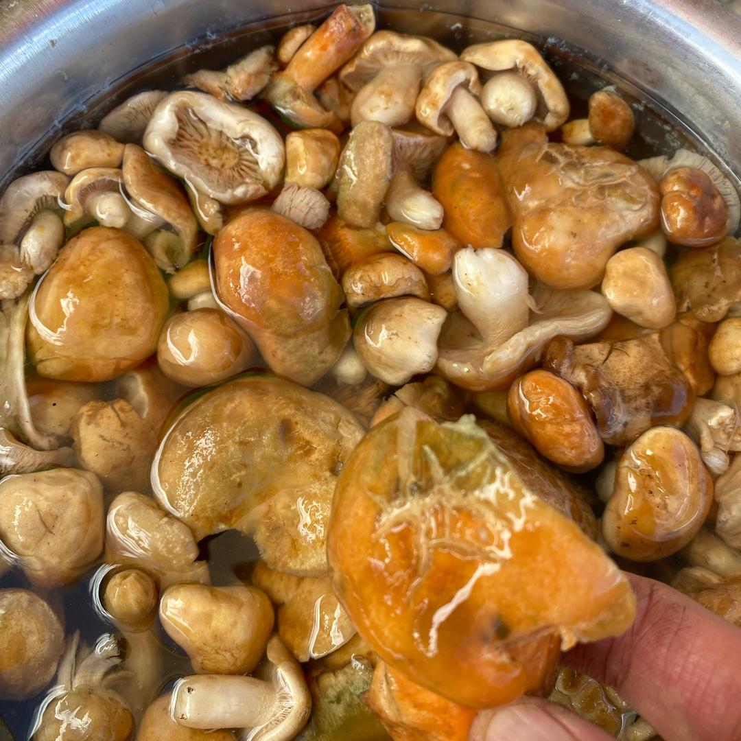 成都味道老菜馆