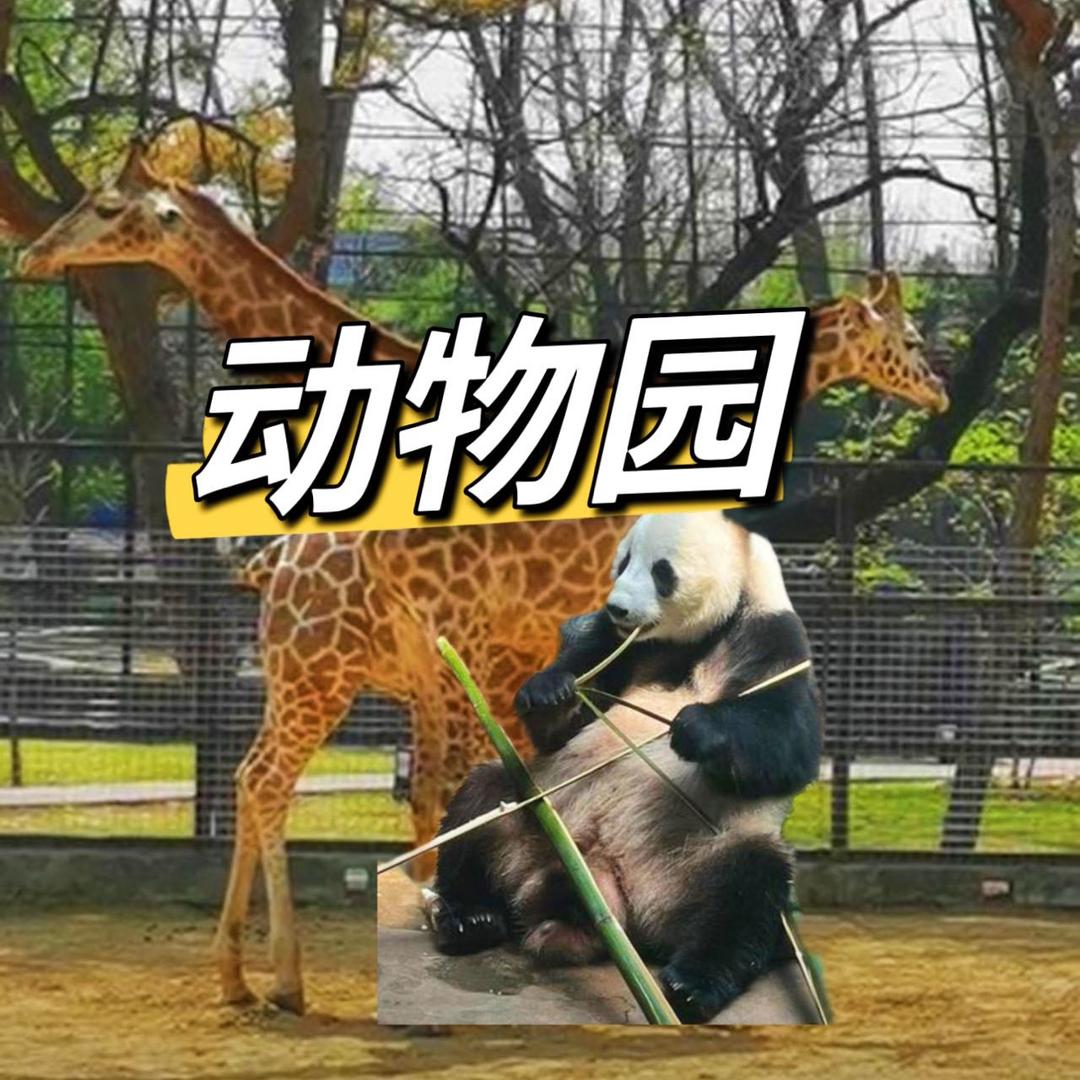 御汤泉水乐园·鞍山动物园推荐官