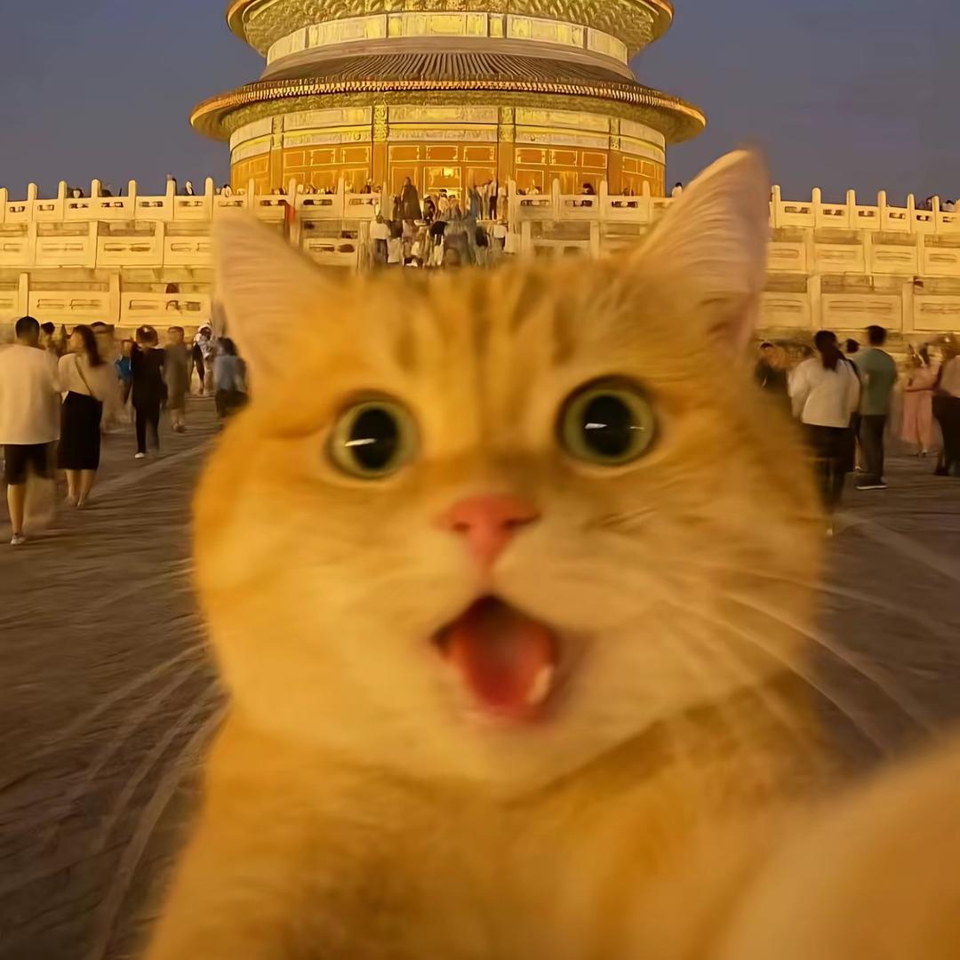 再见星空🇨🇳