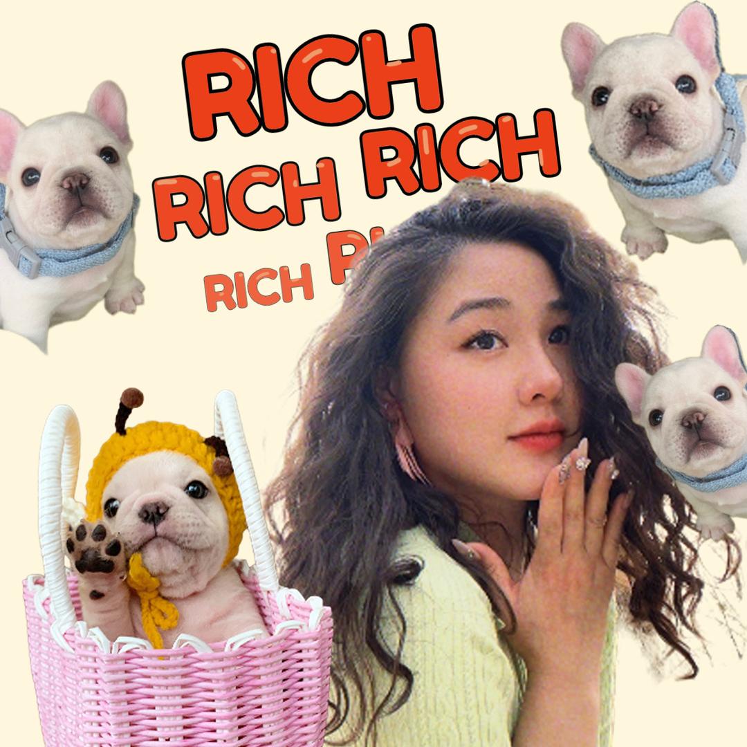 米粒的狗子（直播版）