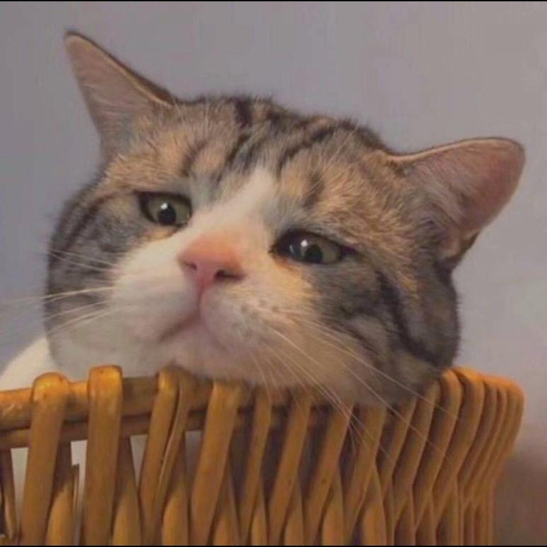 两歲
