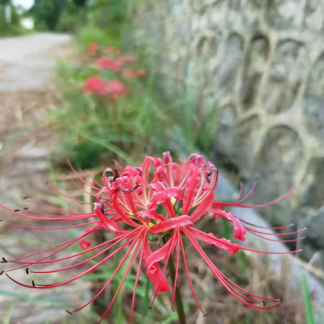 超