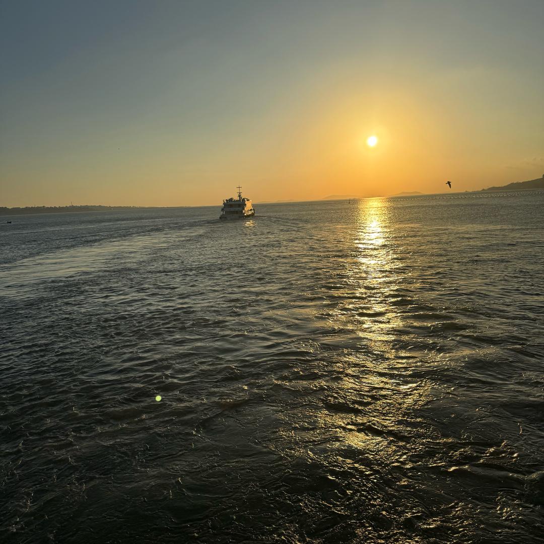 🌖海绵宝宝
