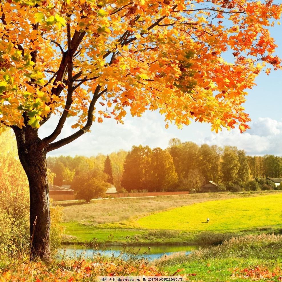 Jonathan好学英语的数学老师