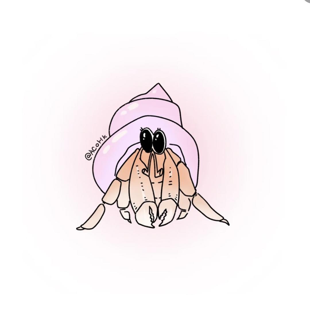 寄居蟹的大眼睛👀