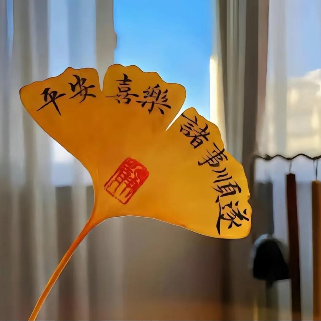 鑫鑫门店官方号