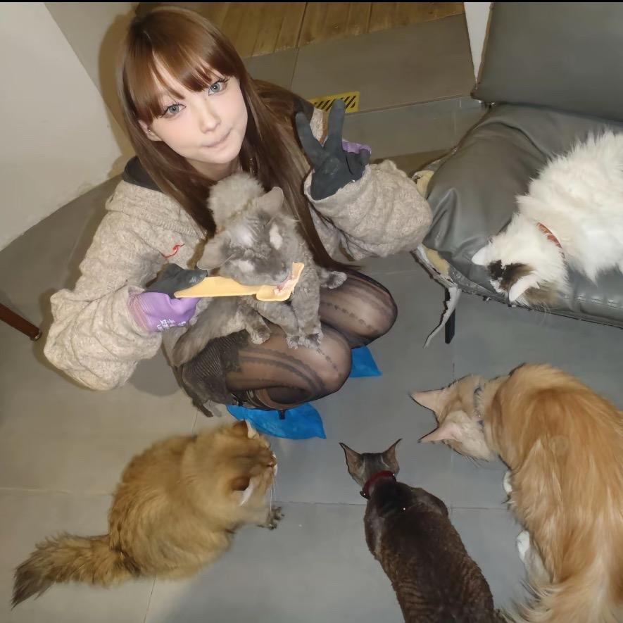 汤圆团子粥