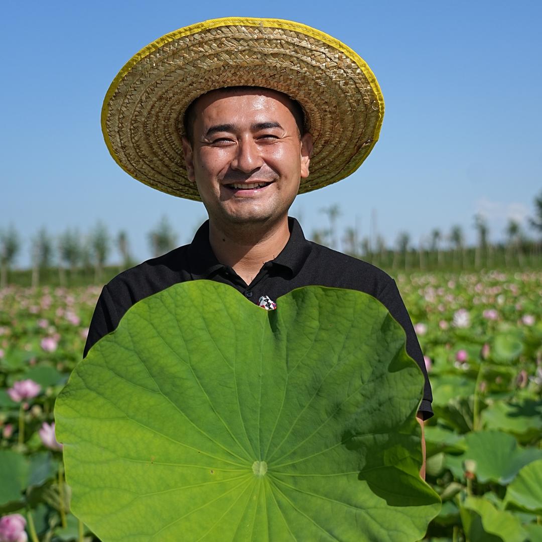 古荡小伊