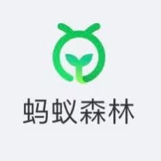 森林热爱者
