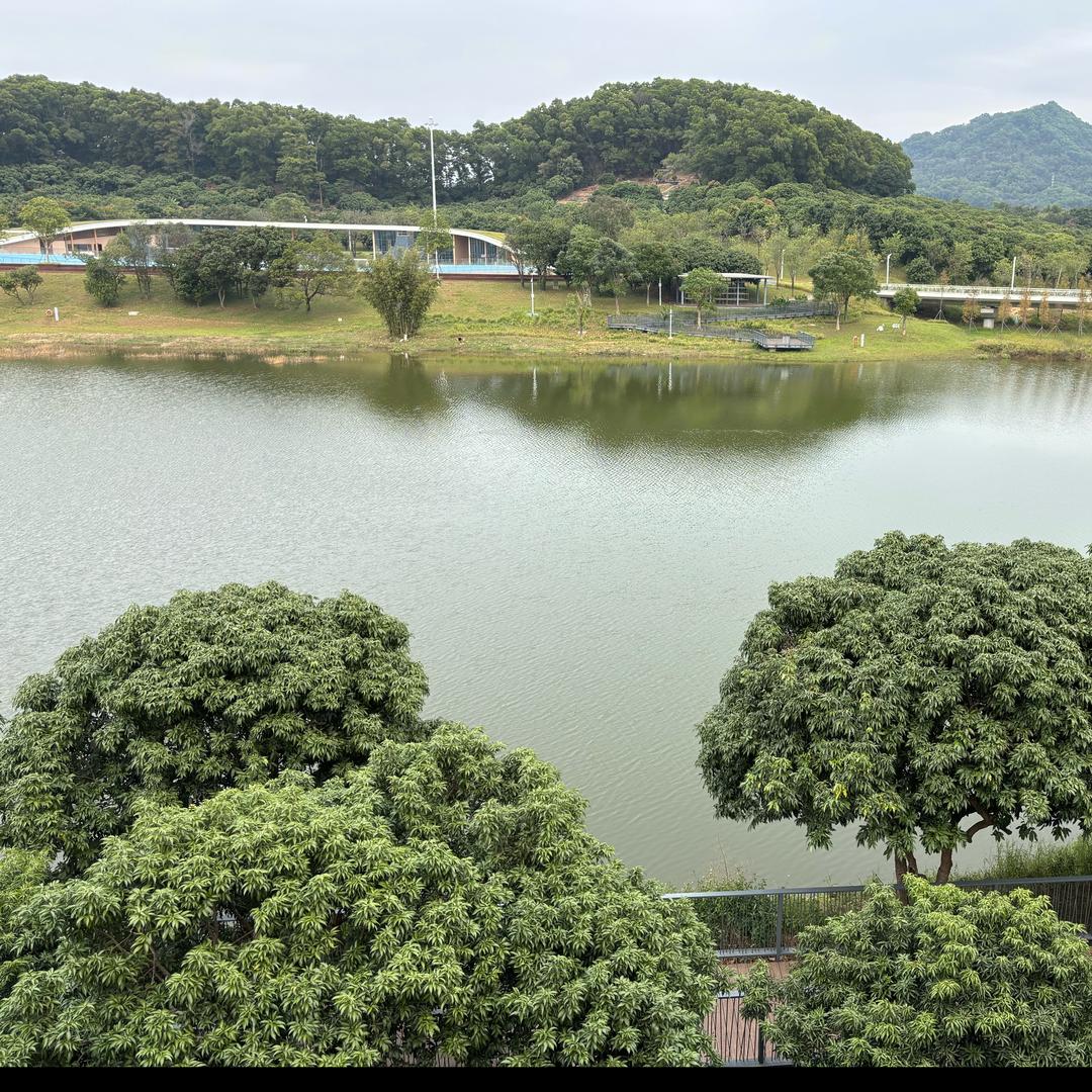 你是谁。