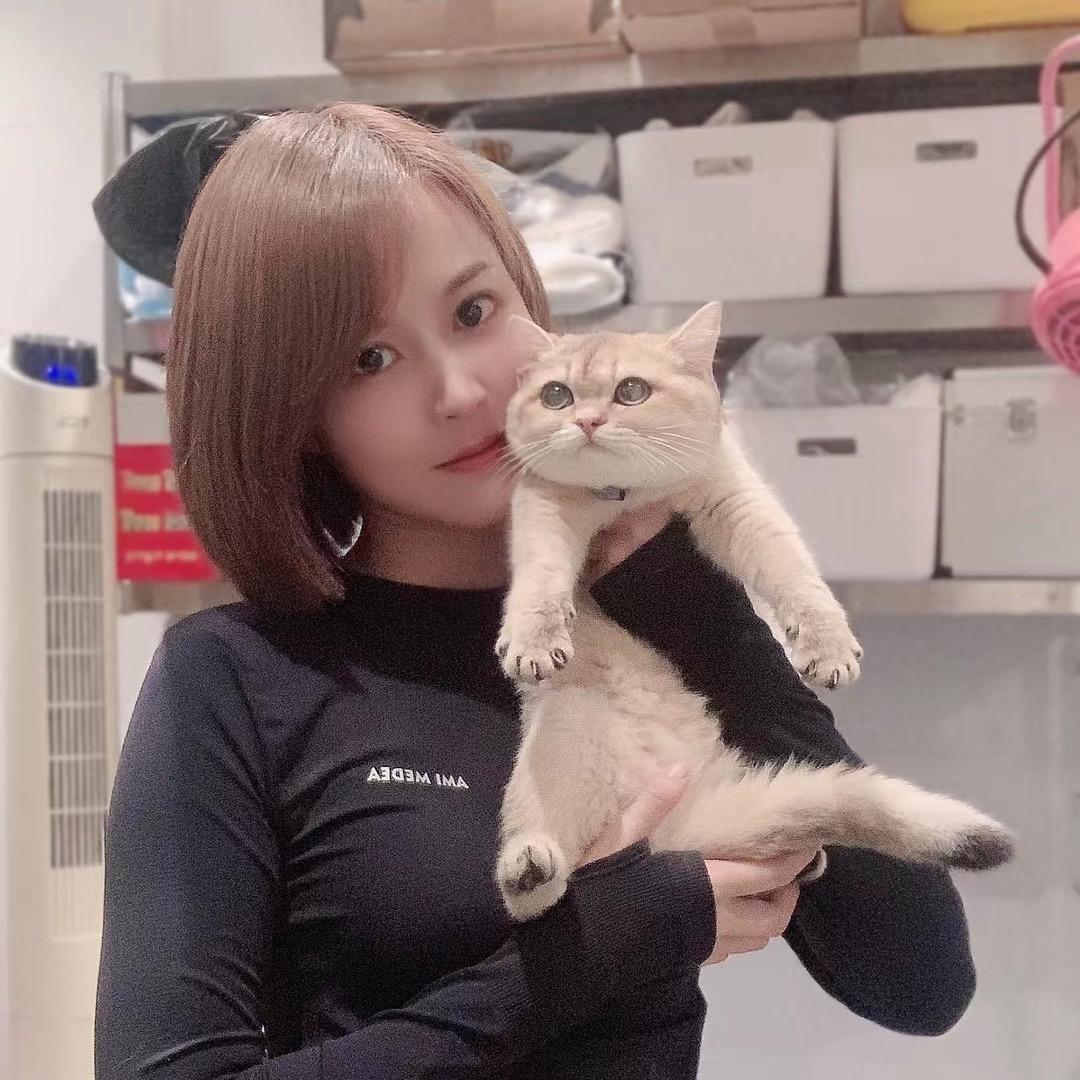 宠佳名猫馆