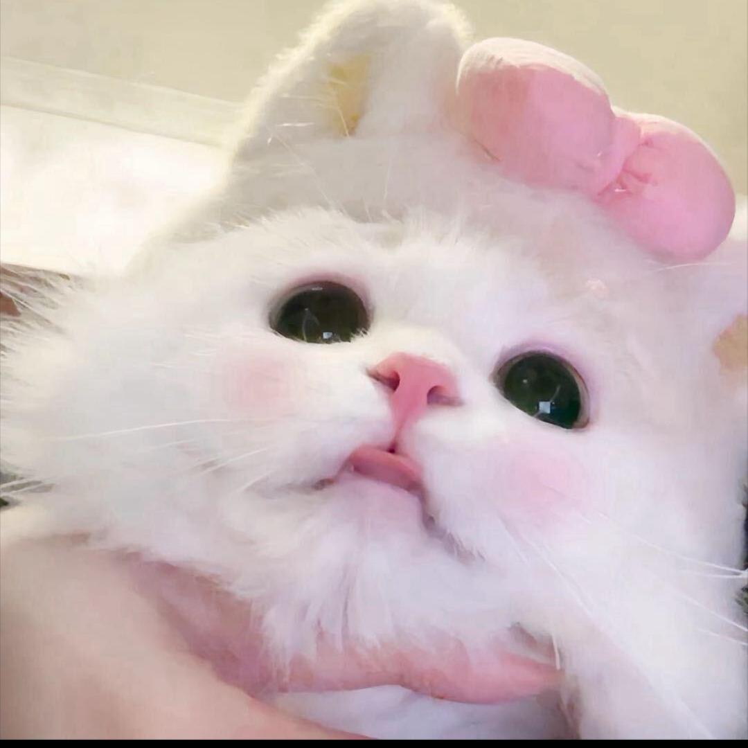 你怎么对谁都好