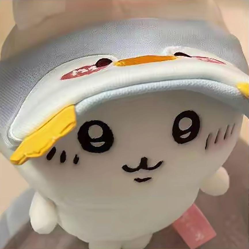 小籽HaTnT
