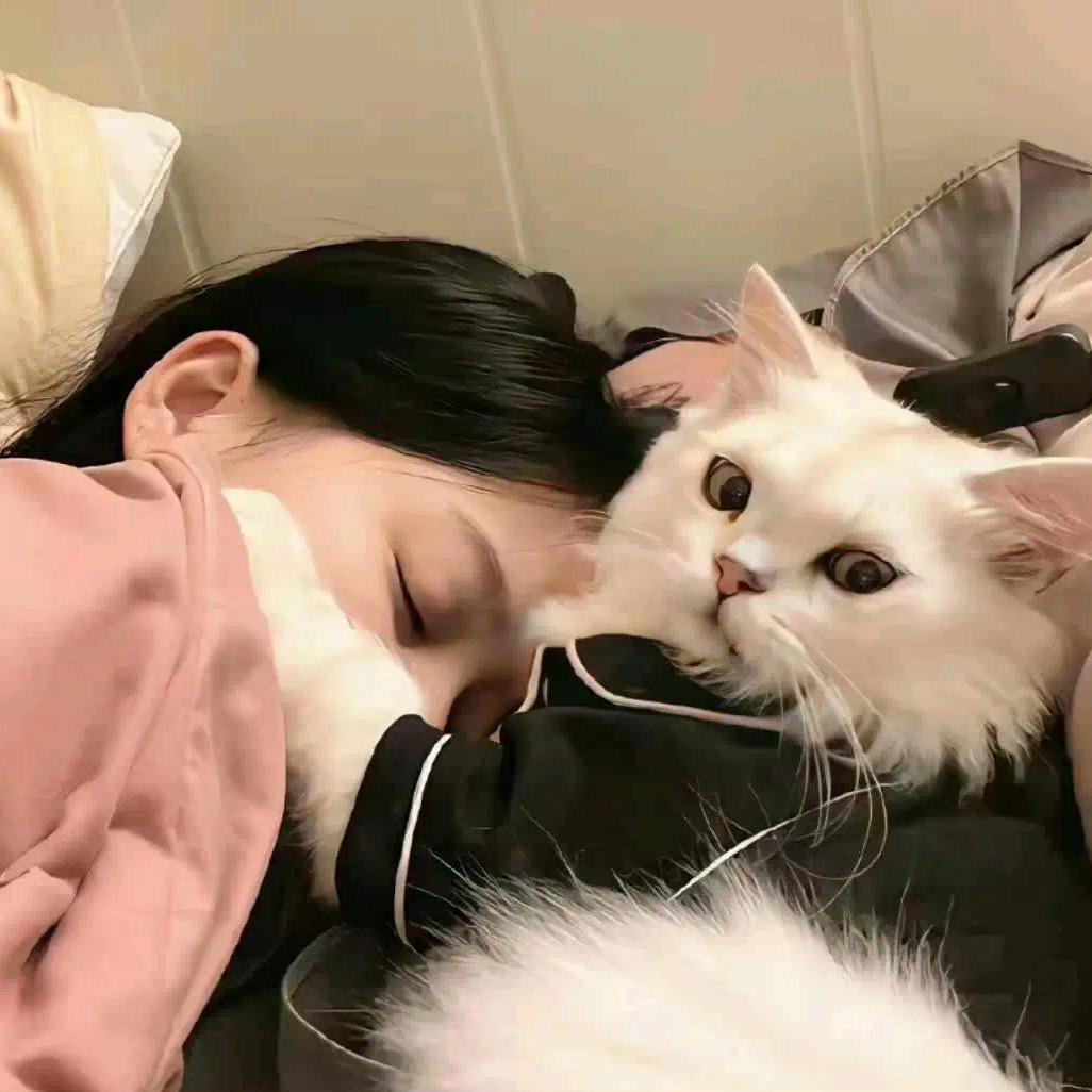 多肉小魔仙