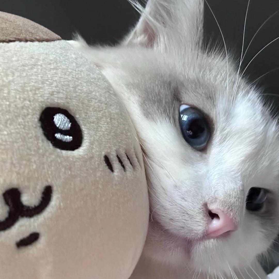 小旭的洛师日记