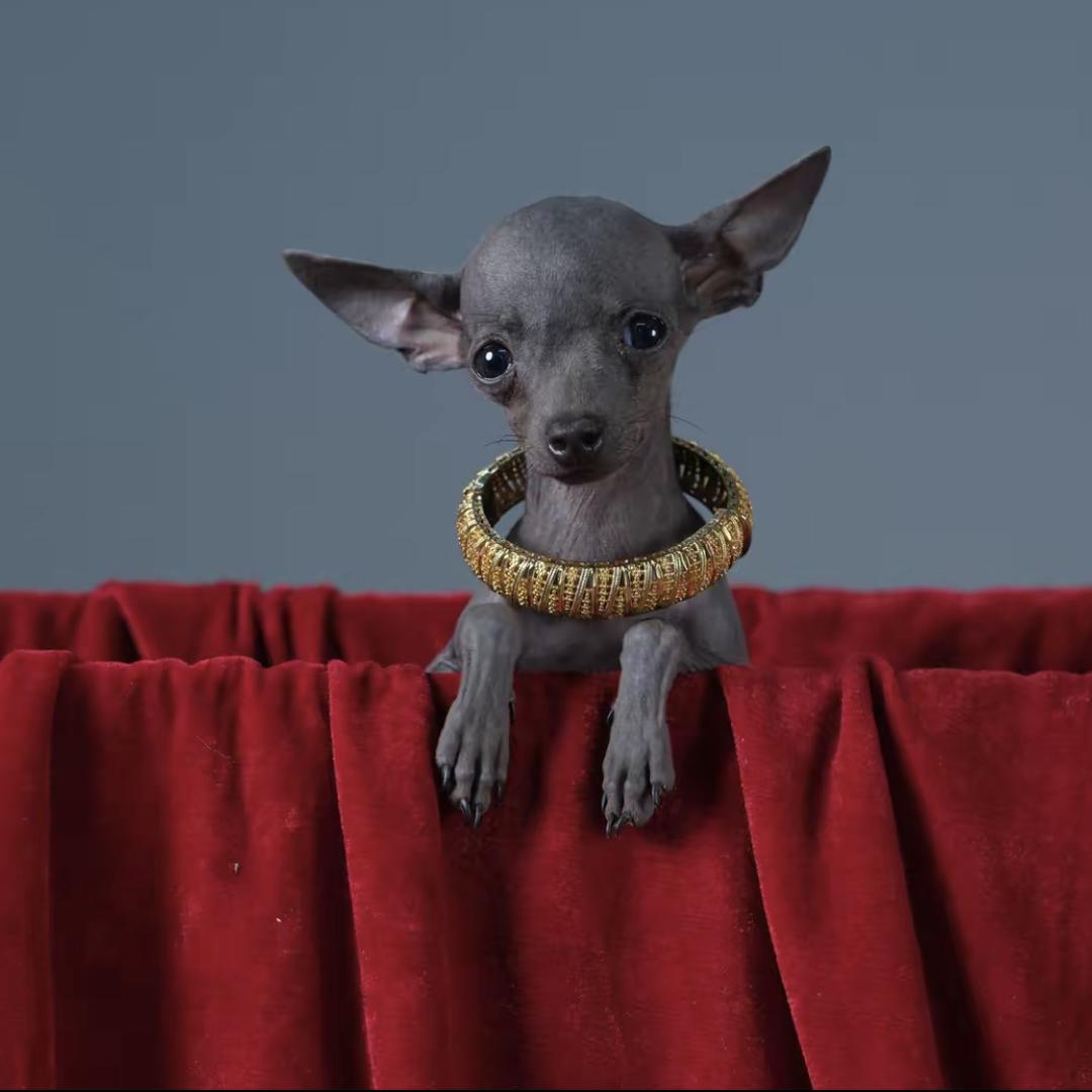 墨轩精品生活馆