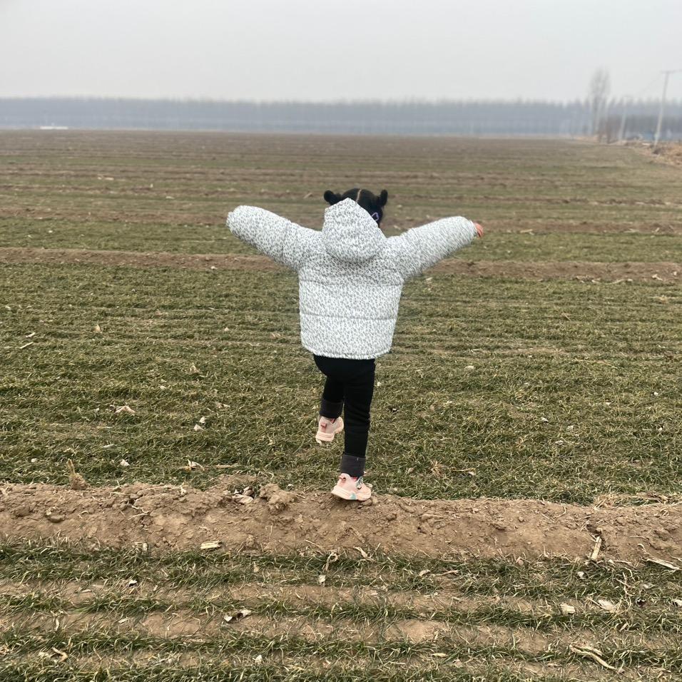 如意如意随我心意