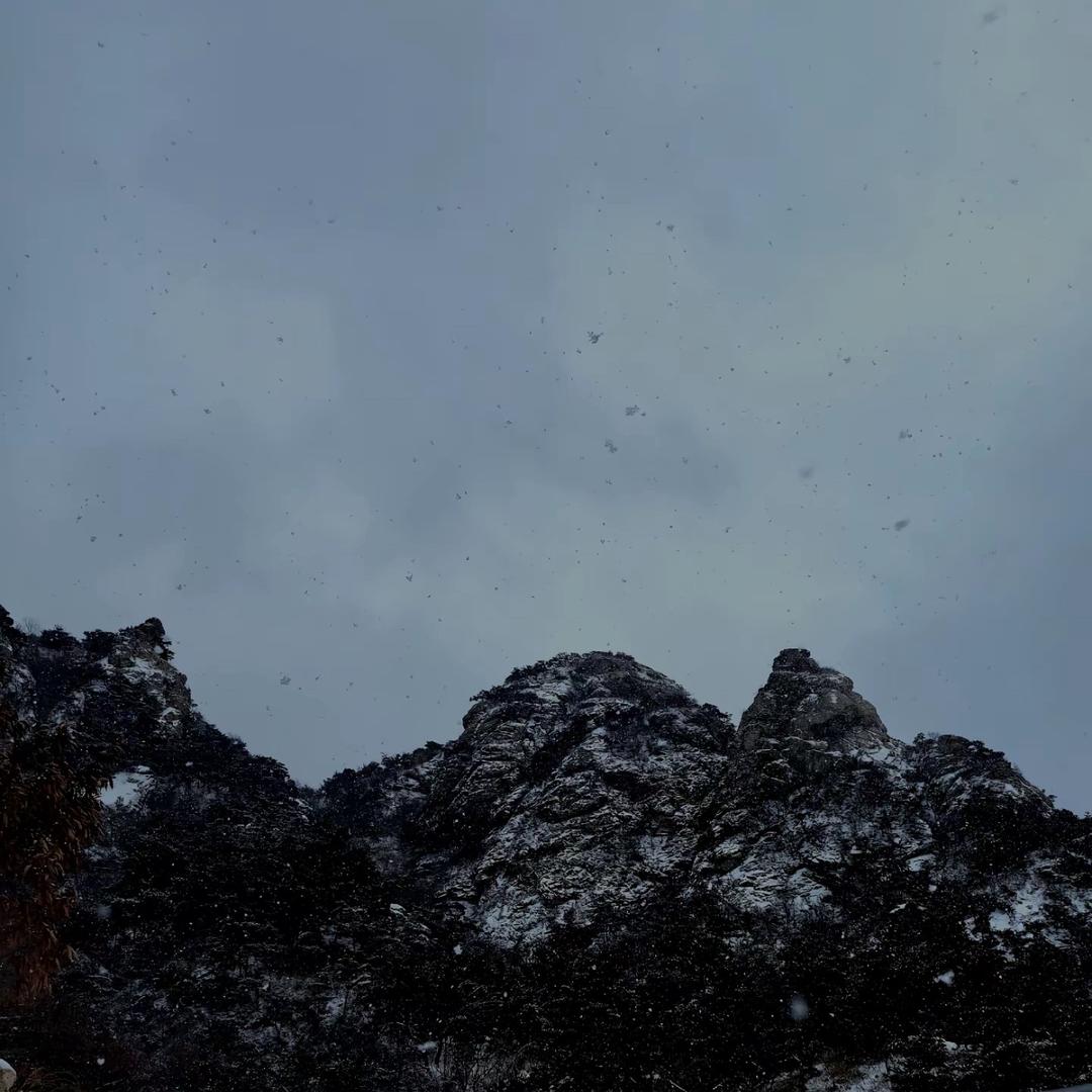 锦掌门盼盼|居家水水|