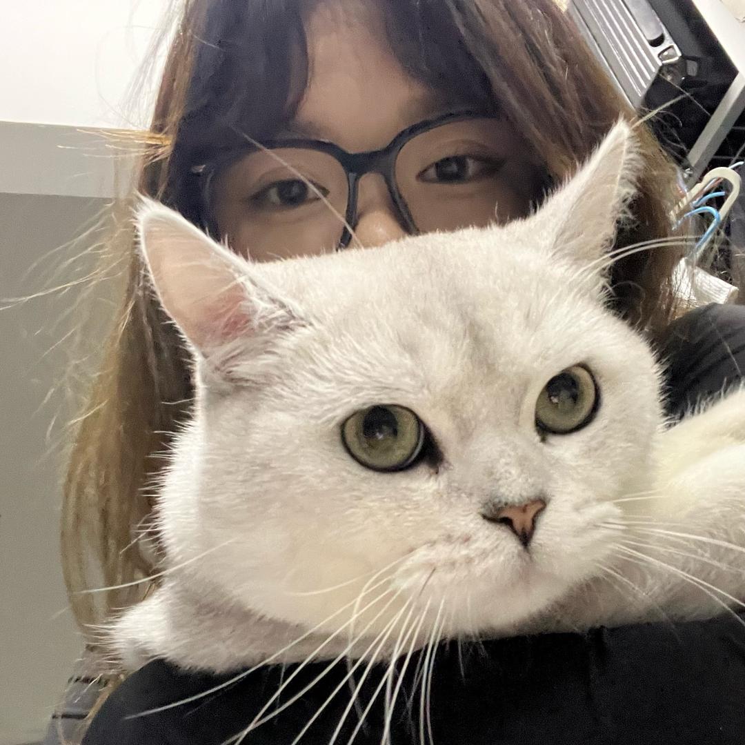 小葵今天不困