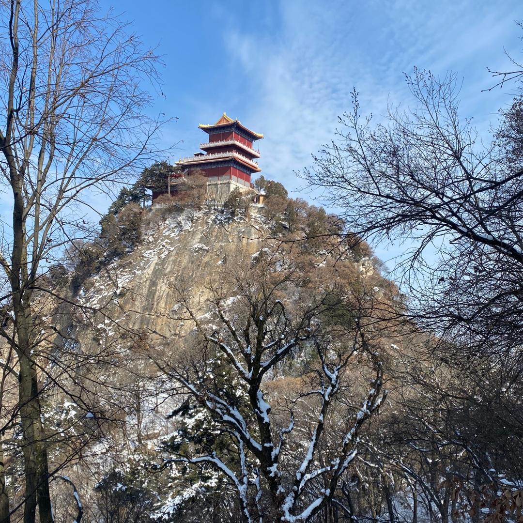 小鲁班哈哈