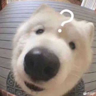 🥇还有下一次