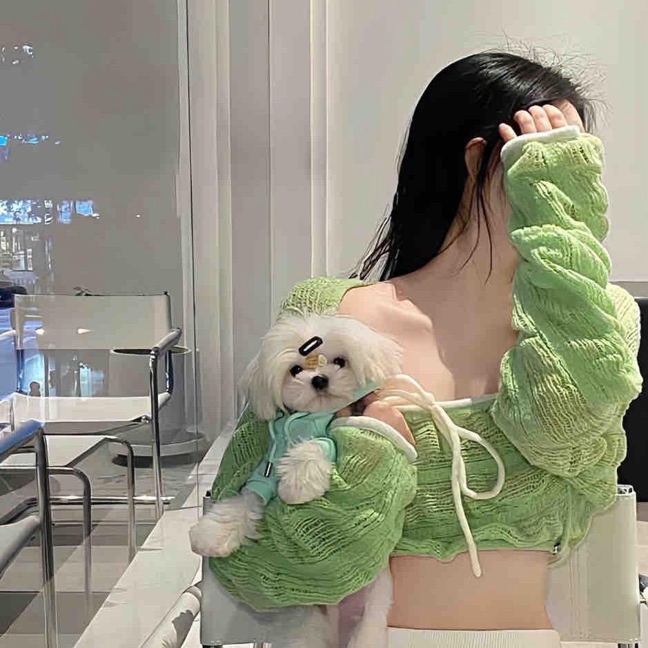 一只眠羊🙈