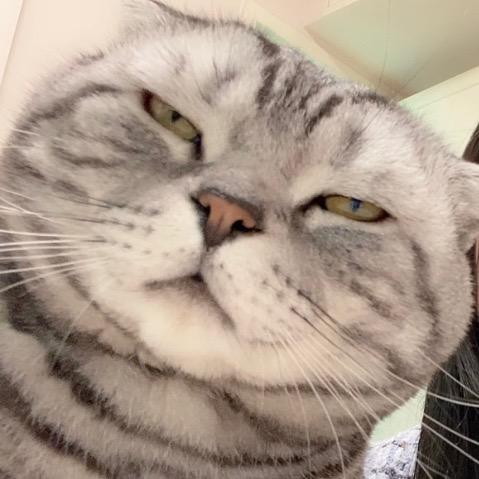 面瘫安东尼