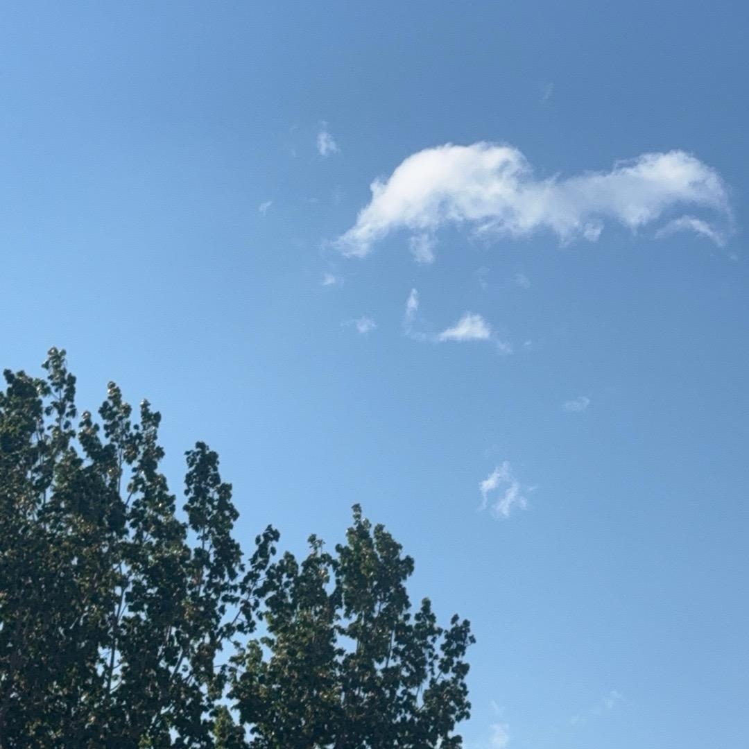 💕 ❧⁵²⁰杨光明媚申官发财꧔ꦿ࿐้